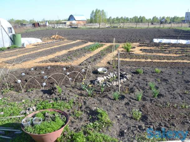 Продам дом Алтайском край, Смоленский район, фотография 5