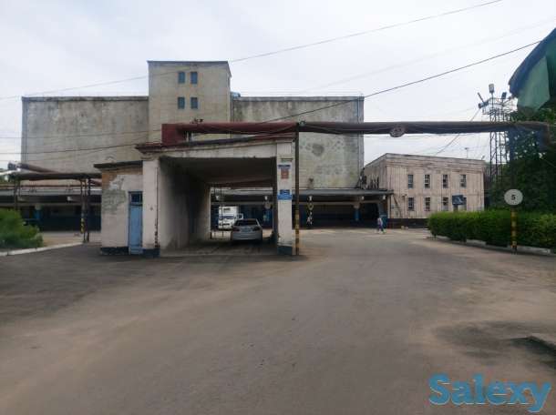 Сдаем в аренду, Турксибский район, ул. Бекмаханова 97А, фотография 5