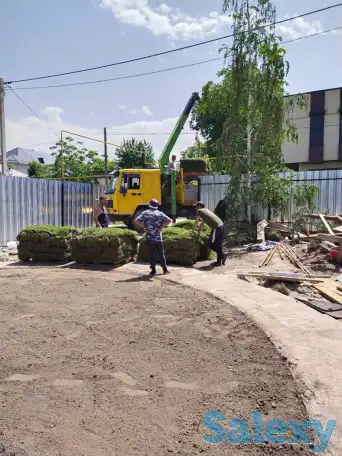 Ландшафтные работы. Озеленение., фотография 11