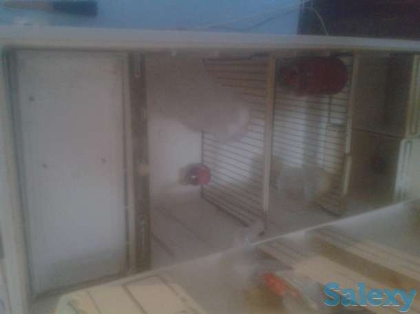 продам холодильник бирюса, фотография 2