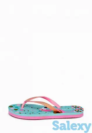 Сланцы t.taccardi, фотография 2