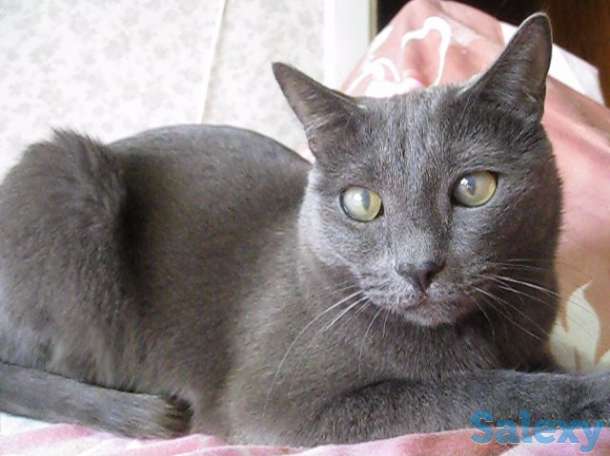 У меня Хозяин умер, фотография 6