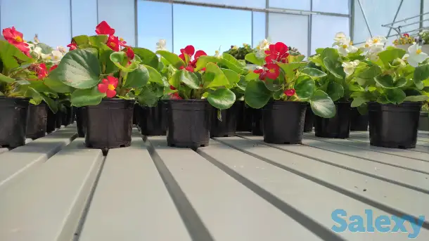 Поддоны для гидропоники, фотография 1