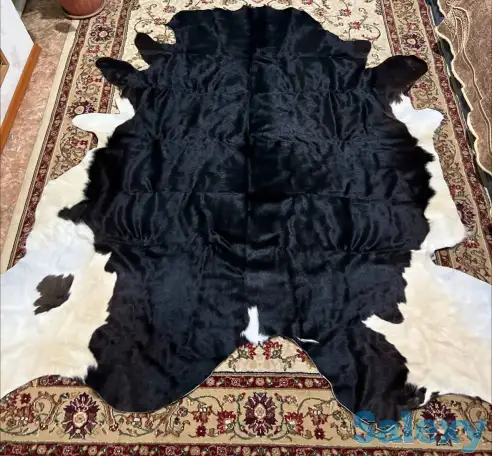 шкуры коровы, фотография 4