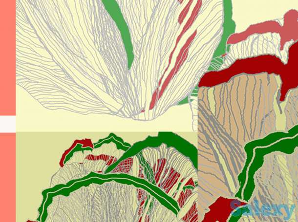 Предлагаю Дизайнерские Услуги:, фотография 1