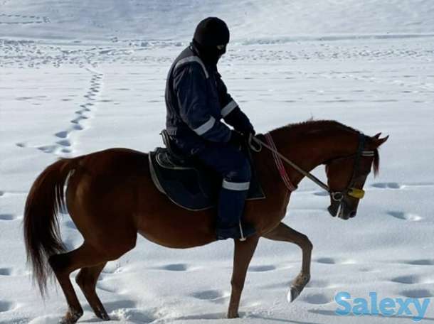 Артём, фотография 1