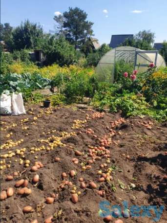 Продам Дача участок Федоровское водохранилище, 6 соток, Фёдоровка., фотография 6