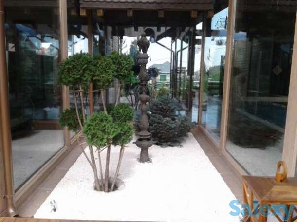 ремонт восстановление газона, фотография 2