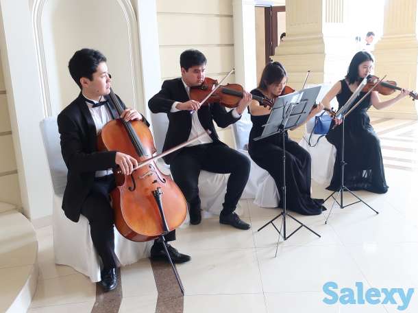 Струнный квартет для вашего мероприятия, фотография 1