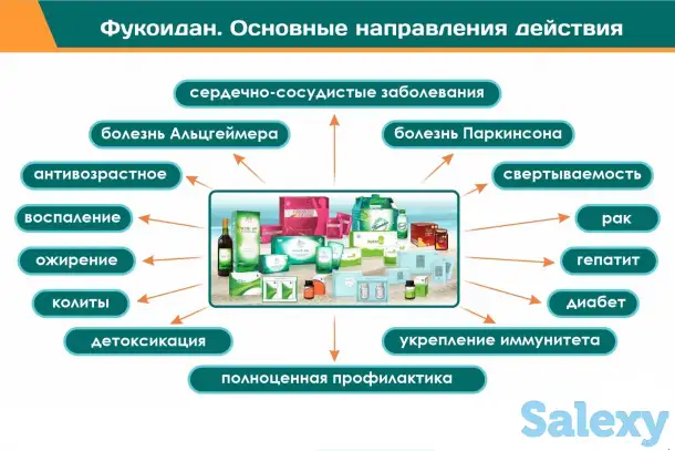 Fucoidan - экстракт водорослей морских Macrocystis pyrifera, фотография 1