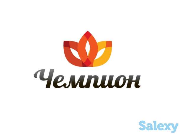 Проектирование и экспертиза, фотография 1