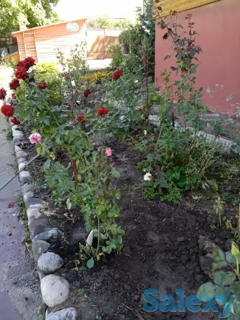 Садовник, фотография 6