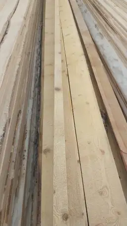 продажа лиственницы и сосны, фотография 2