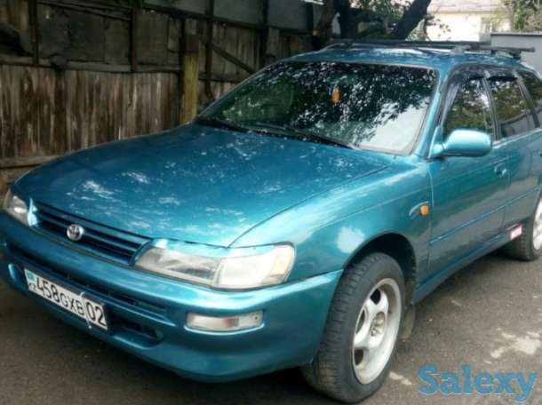 Доставка малогабаритных грузов, фотография 1