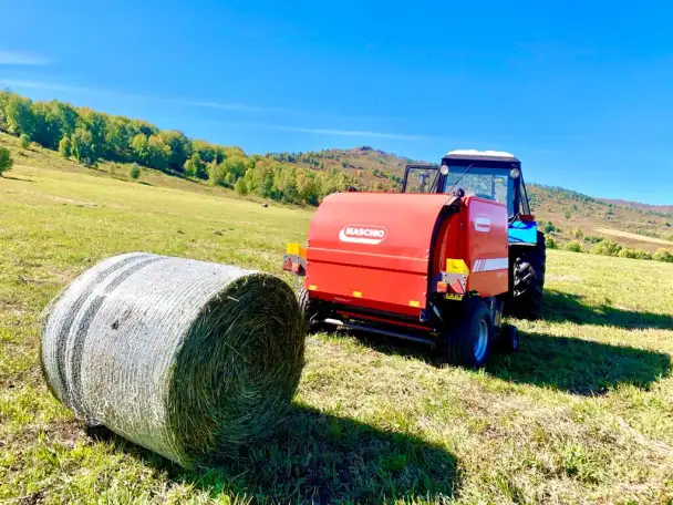 Участки в Катон-Карагае, фотография 9