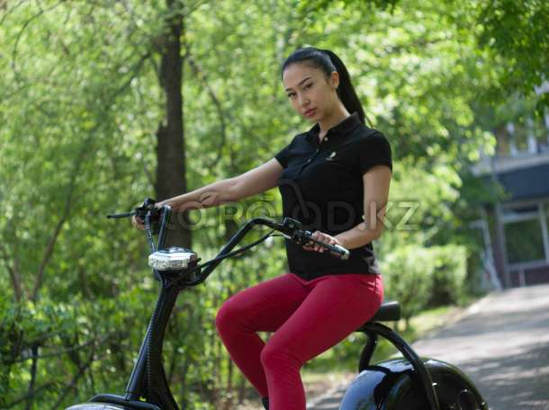 Новинка 2017 года - электроскутер Eco Road., фотография 2