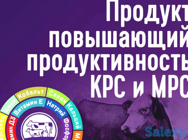 Надёжная защита здоровья быков, коров и овец, фотография 1