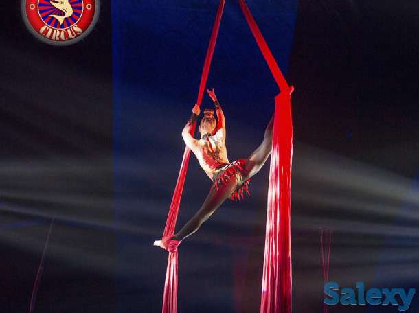 Цирк шапито АКУЛА в Алматы, фотография 5