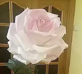 РОСТОВЫЕ ЦВЕТЫ, фотография 4