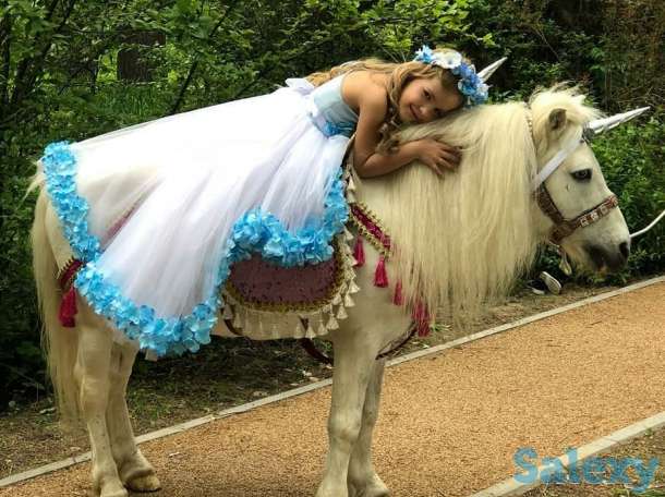 Конь белый, фотография 6