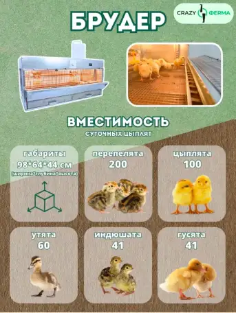 Продам брудер Профессионал 95-БР-1 Престиж на 100 цыплят, фотография 2