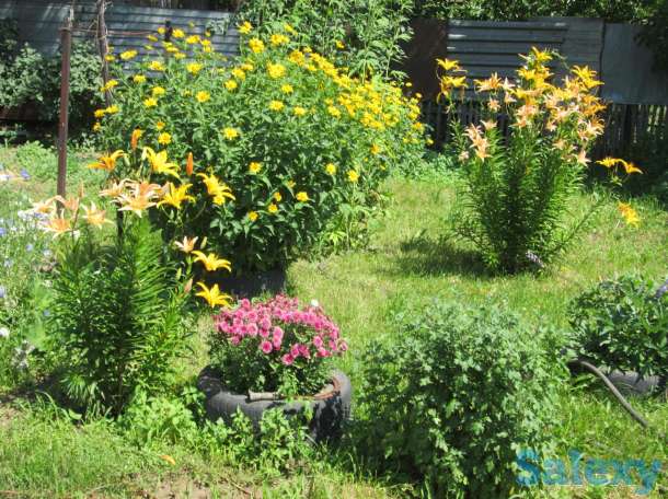 Дом, с.Сосновый Бор Клановая 16, фотография 5