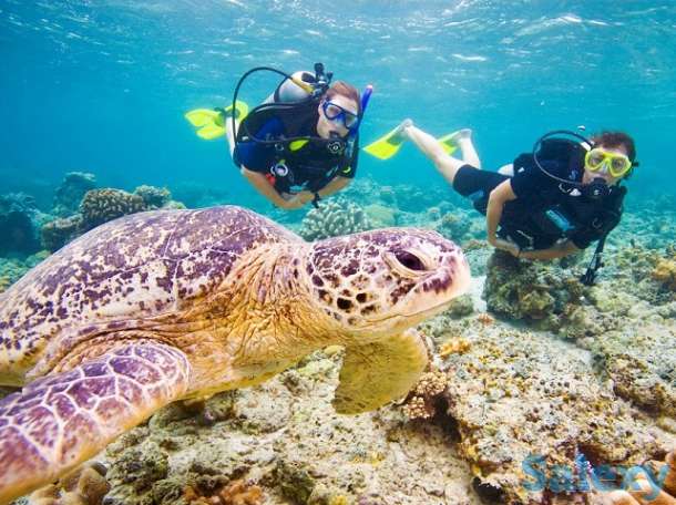 Дайвинг-тур на Красное море, Дахаб. Сентябрь 2019, фотография 2