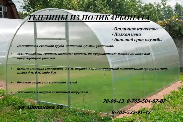 Теплицы, навесы, фотография 1