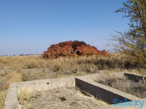 Продам участкти по 12 соток, ПК с/т Темирлан, фотография 1