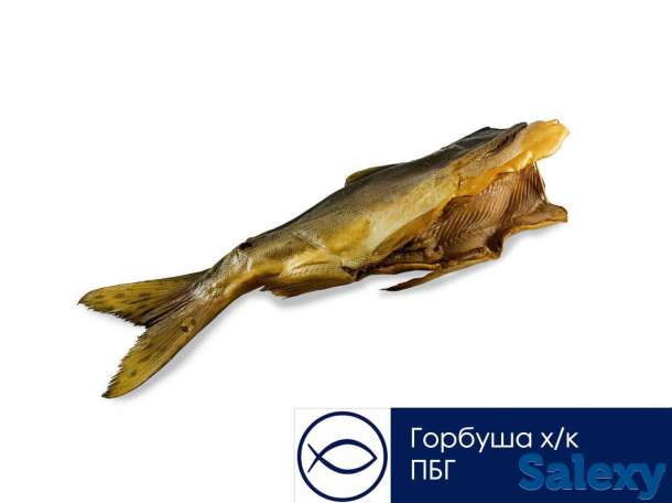 Копченая рыба / Вяленая рыба / Соленая рыба, фотография 1