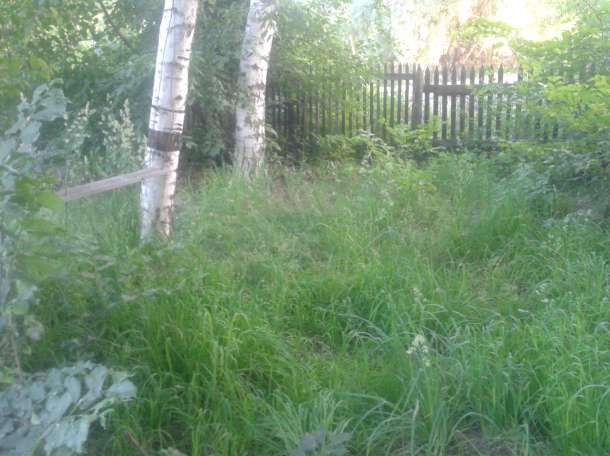 дом, Железняка, фотография 4