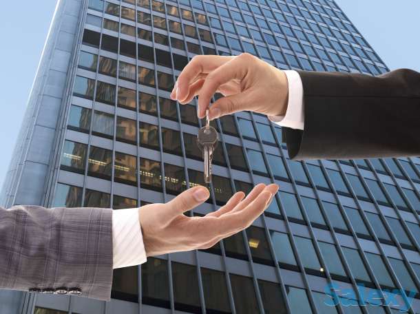 Помощь в поиске квартиры в Новосибирске, фотография 1