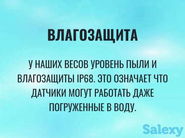 Эталон ВЕС+-Установка и продажа автомобильных и вагонных весов, фотография 1