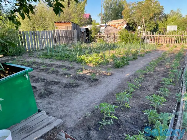 Дача. Петропавловск. Общество «Горизонт»., фотография 7
