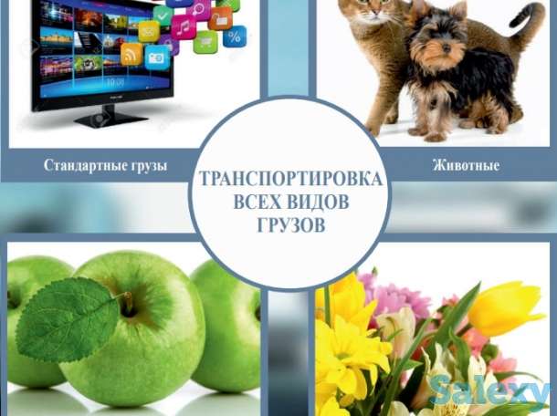 AIR FREIGHT – организация перевозки вашего груза авиатранспортом, фотография 2