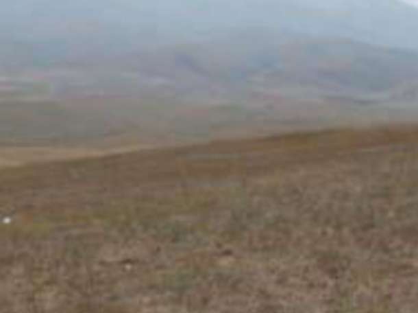 Продам участок в с. Узынагаш (25 км. от Алматы) общей площадью 21 га. Участок делимый, торг уместен.  , фотография 2