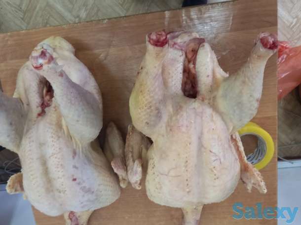 Мясо индейки (индейка, индюк), фотография 2