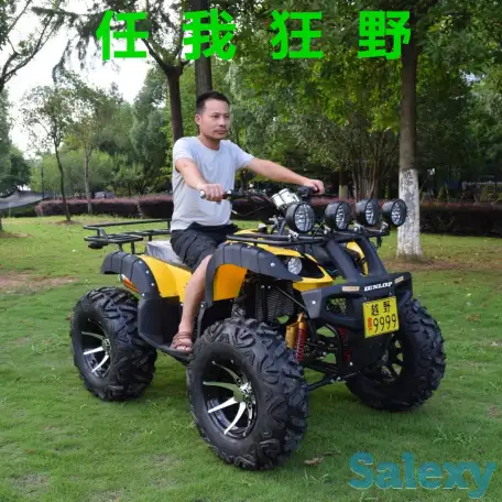 Квадроцикл 250 кубов ( Кардан ), фотография 9