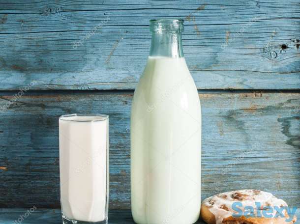 Доставка КЫМЫС и САУМАЛ от производителей (Кумыс Алматы), фотография 2