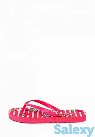 Сланцы t.taccardi, фотография 2