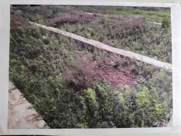 Продаётся земельный участок 10 соток в 2 км от Астаны в п. Коянды, фотография 4