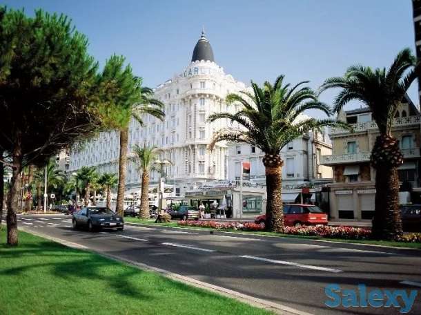 Найти квартиру эконом класса на Лазурном берегу Франции, фотография 3