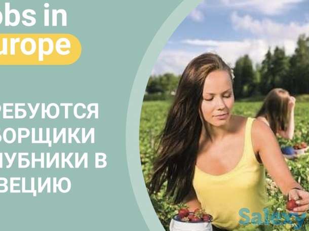 Работа в Польше, работа в Европе, виза в Польшу, фотография 3