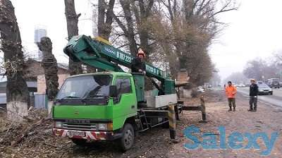 Спил деревьев. Евгений верхолаз (арборист), спецтехника. Обрезка, кронировка., фотография 4