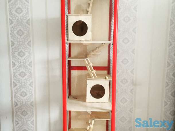 Клетки для шиншилл , белок , хорьков и прочих грызунов, фотография 9