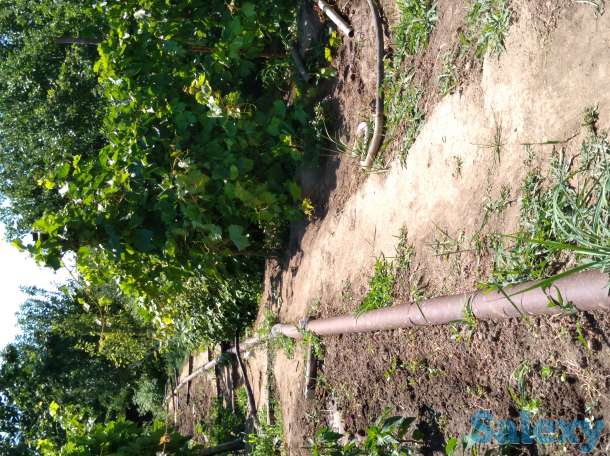 Продам дачу, фотография 10