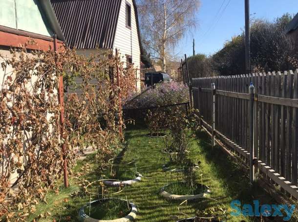 продам дачу на берегу р.Иртыш 44 км, фотография 3