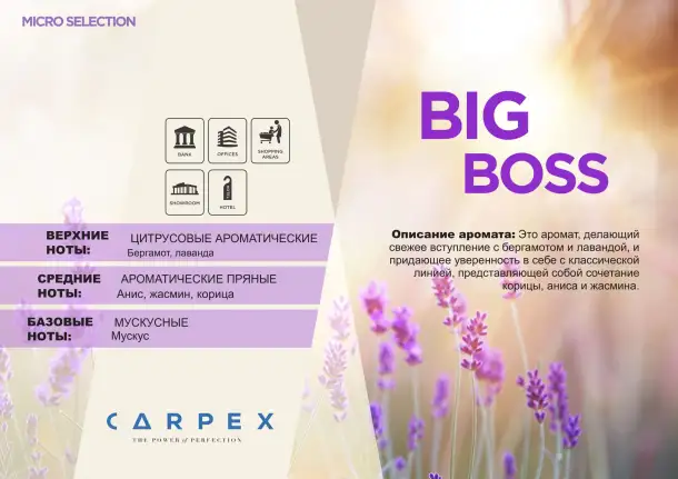 Carpex 50  мл Ароматические картриджи, фотография 2