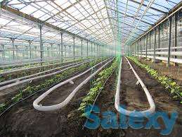 Теплицы на любой вкус, фотография 4