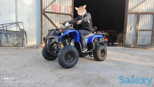 Квадроциклы 50,110,125,250сс, фотография 11